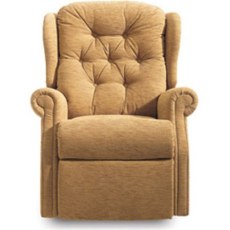 Whitney Petite Recliner Dual Motor