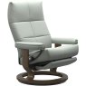 David Large Large Power Chair Dual Motor (Leg & Back)