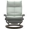 David Large Large Power Chair Dual Motor (Leg & Back)